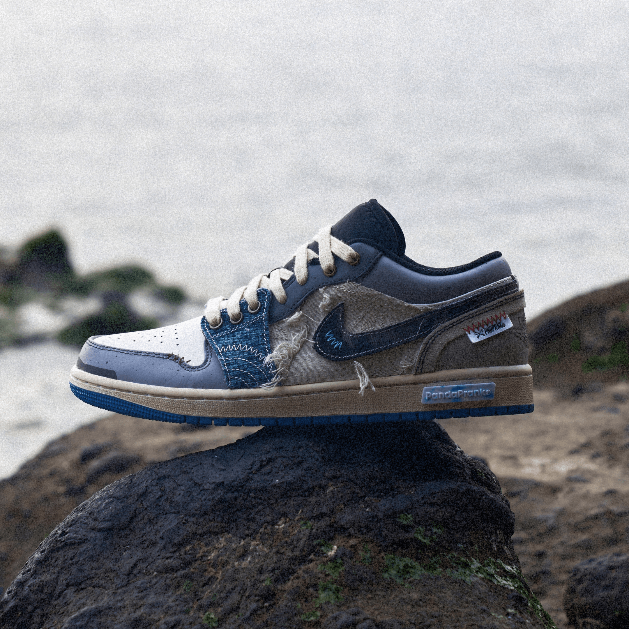 Overfishing - Men's Jordan 1 Low Custom